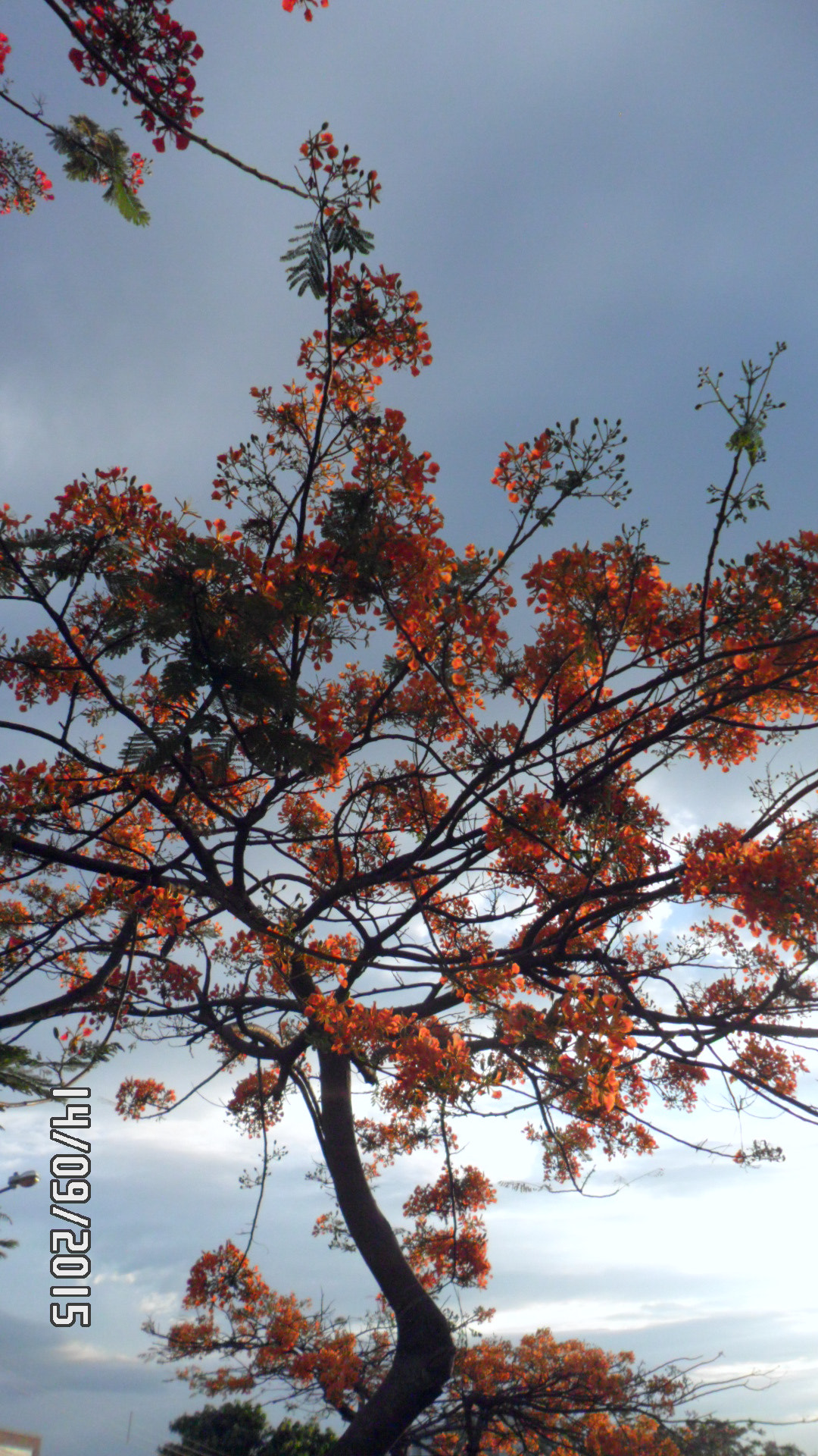 Samsung PL20,PL21 / VLUU PL20,PL21 sample photo. Entardecendo photography