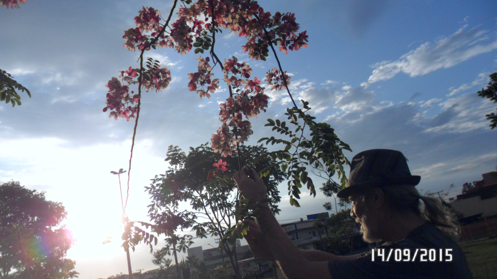 Samsung PL20,PL21 / VLUU PL20,PL21 sample photo. Sam_4413.jpg photography