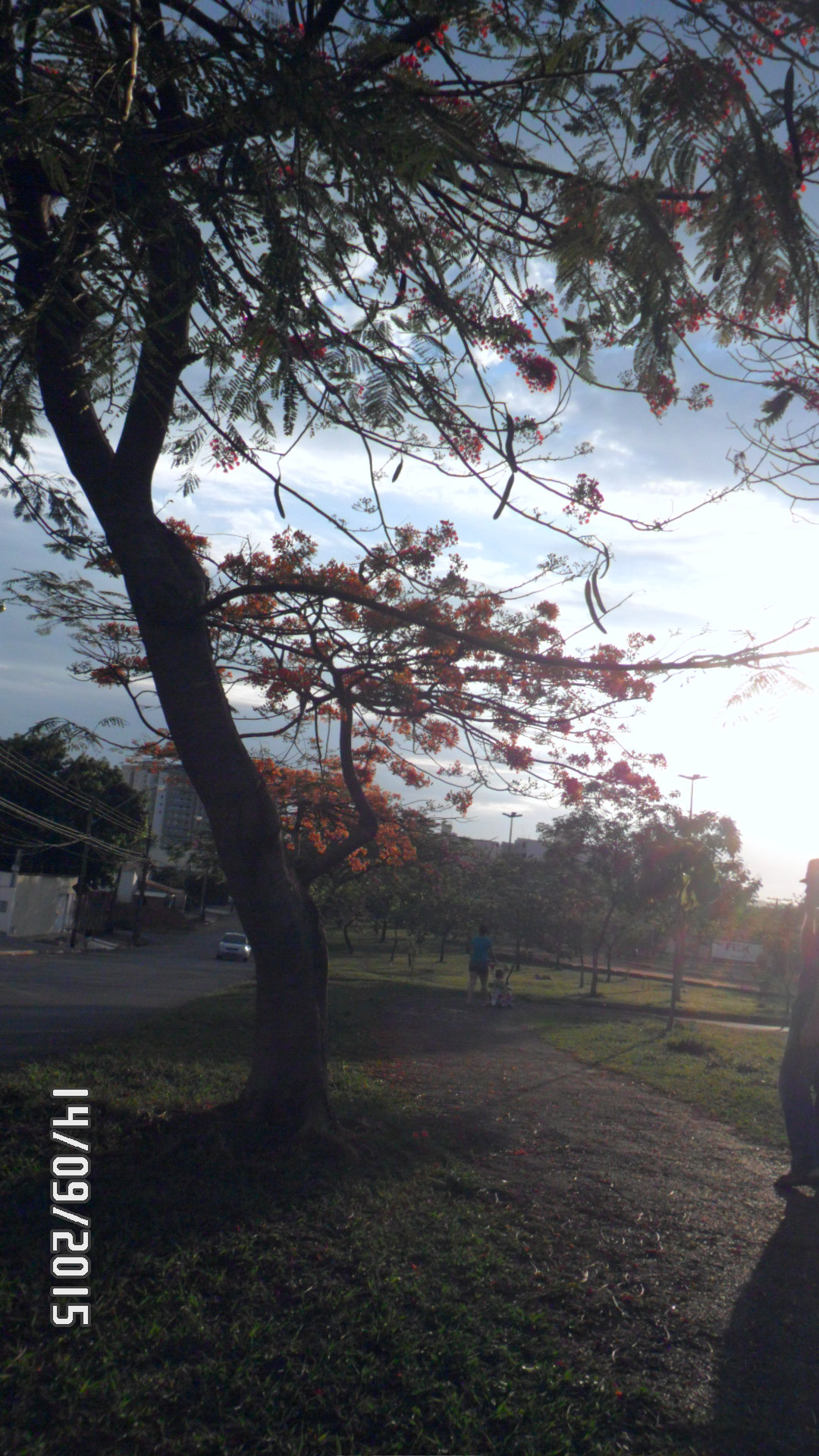 Samsung PL20,PL21 / VLUU PL20,PL21 sample photo. Sam_4415.jpg photography