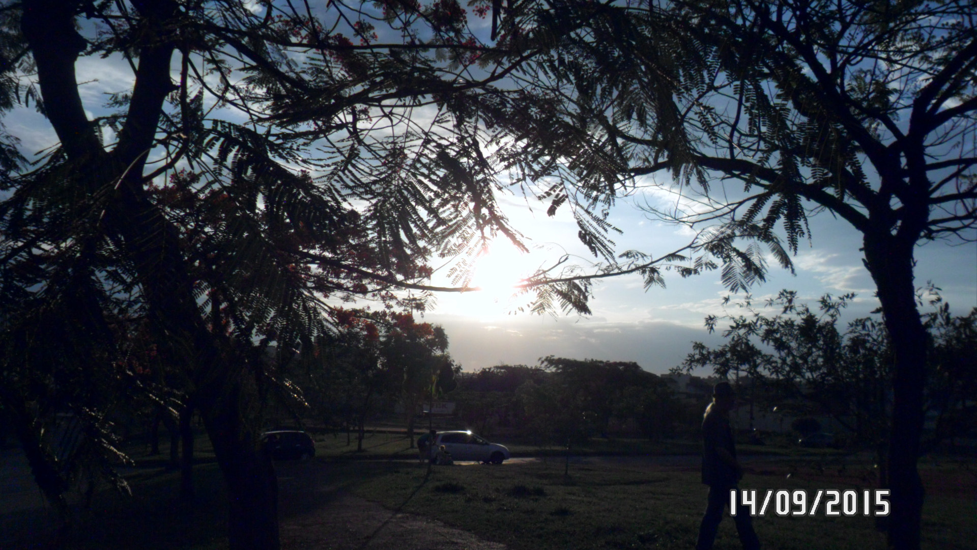 Samsung PL20,PL21 / VLUU PL20,PL21 sample photo. Sam_4416.jpg photography