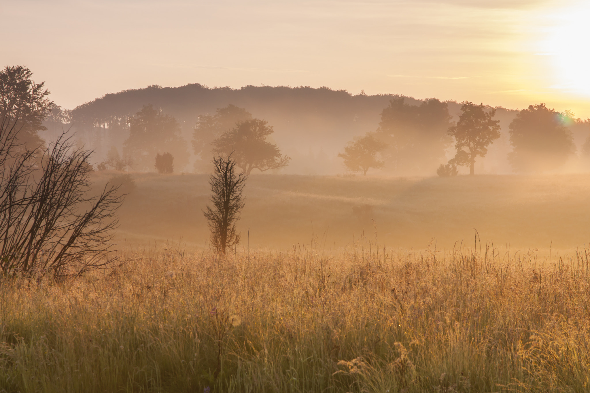 Sigma 17-70mm F2.8-4 DC Macro OS HSM sample photo. Sunrise at bükk mountains photography