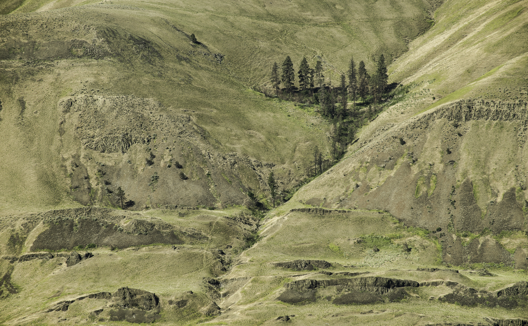 Sony 75-300mm F4.5-5.6 sample photo. Behind the coast mountains photography