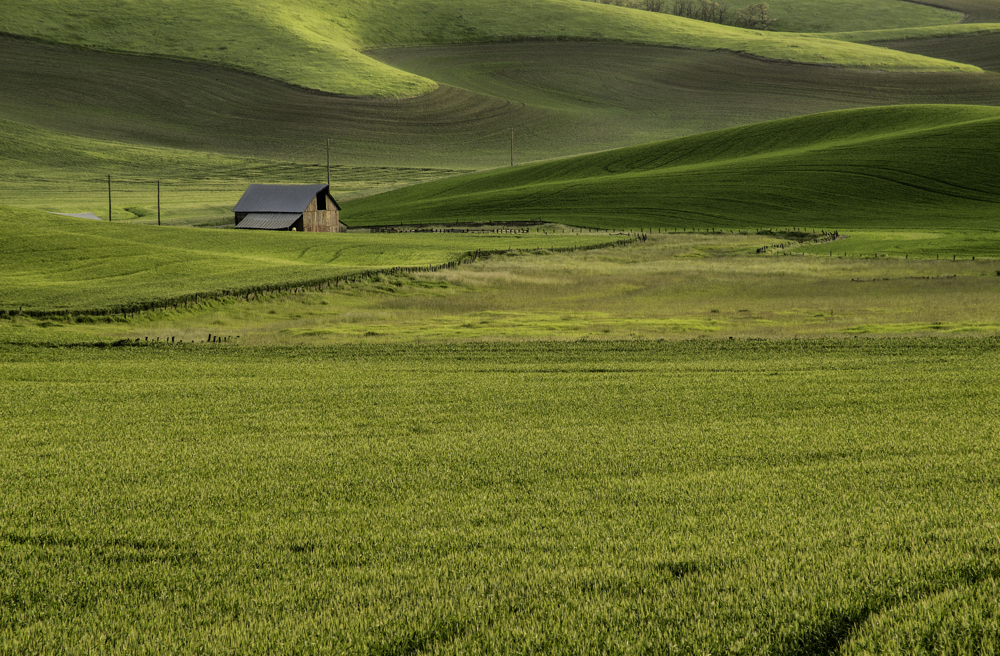 Sony 75-300mm F4.5-5.6 sample photo. This is home photography