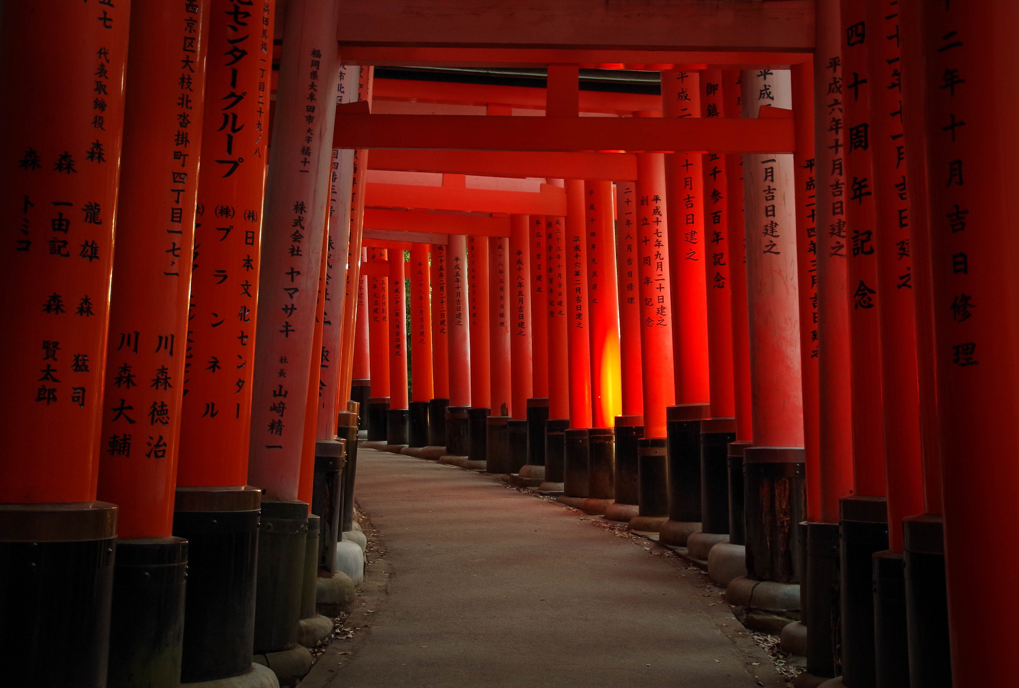 Tamron AF 18-200mm F3.5-6.3 XR Di II LD Aspherical (IF) Macro sample photo. Fushimi inari photography