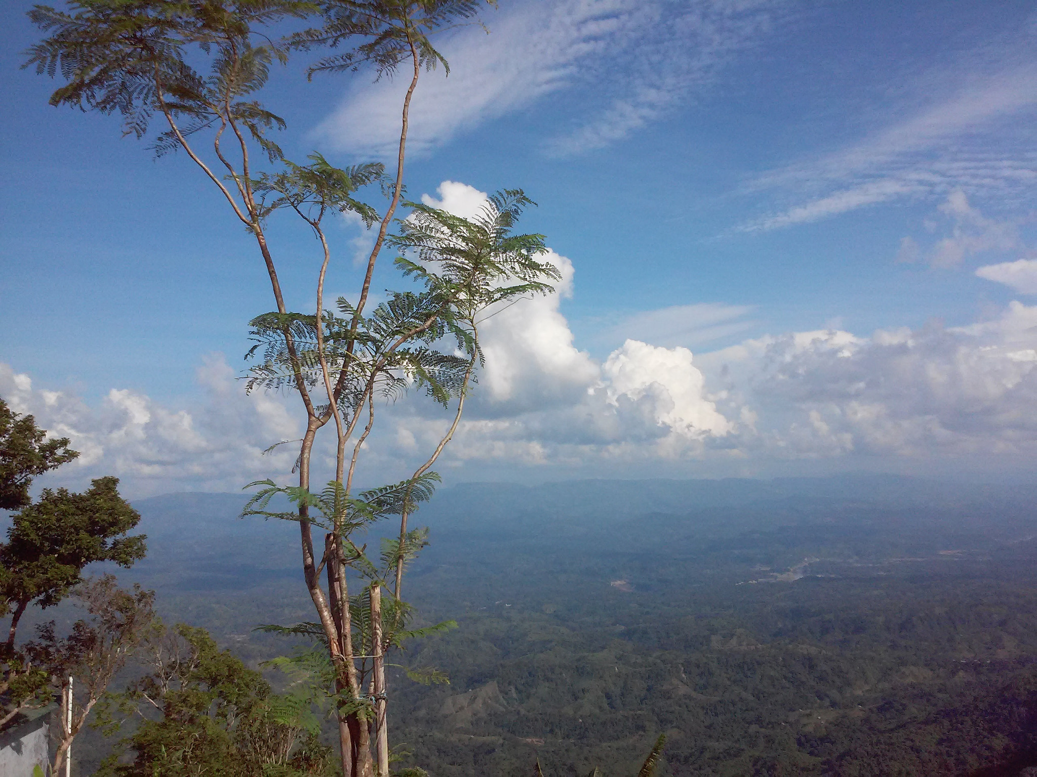 LG L70 sample photo. Close_to_heaven photography