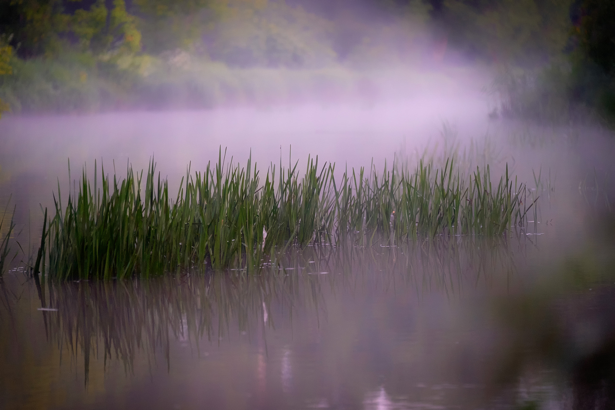 Fujifilm X-T10 + Fujifilm XF 50-140mm F2.8 R LM OIS WR sample photo. Yauza river 4 a.m photography