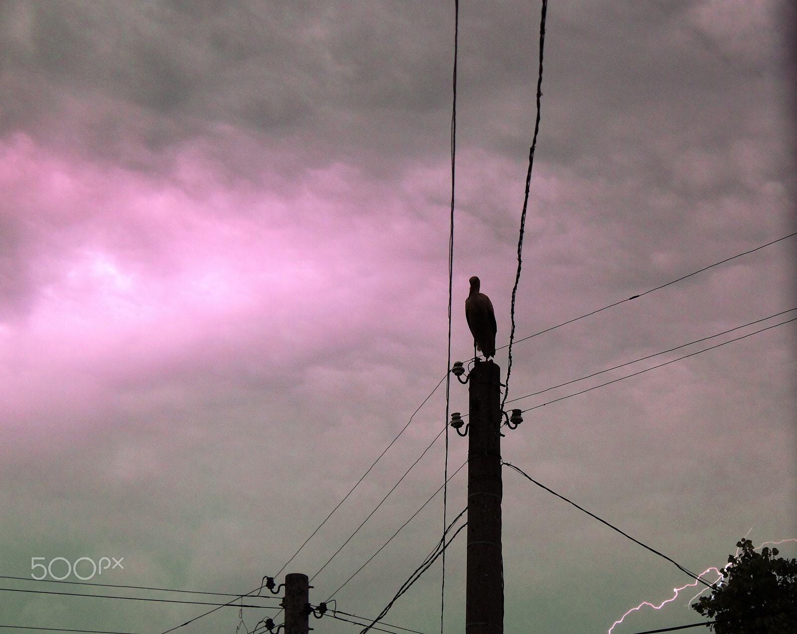 Canon EOS 500D (EOS Rebel T1i / EOS Kiss X3) + Canon EF-S 18-55mm F3.5-5.6 IS sample photo. After the storm ... photography