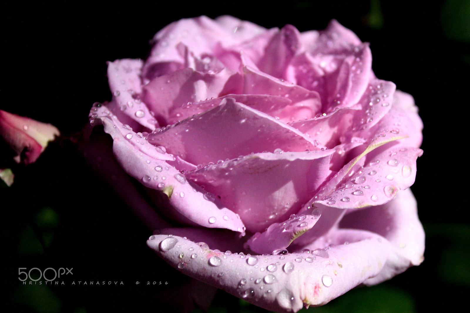 Canon EF-S 18-55mm F3.5-5.6 IS sample photo. After the storm 1.... photography