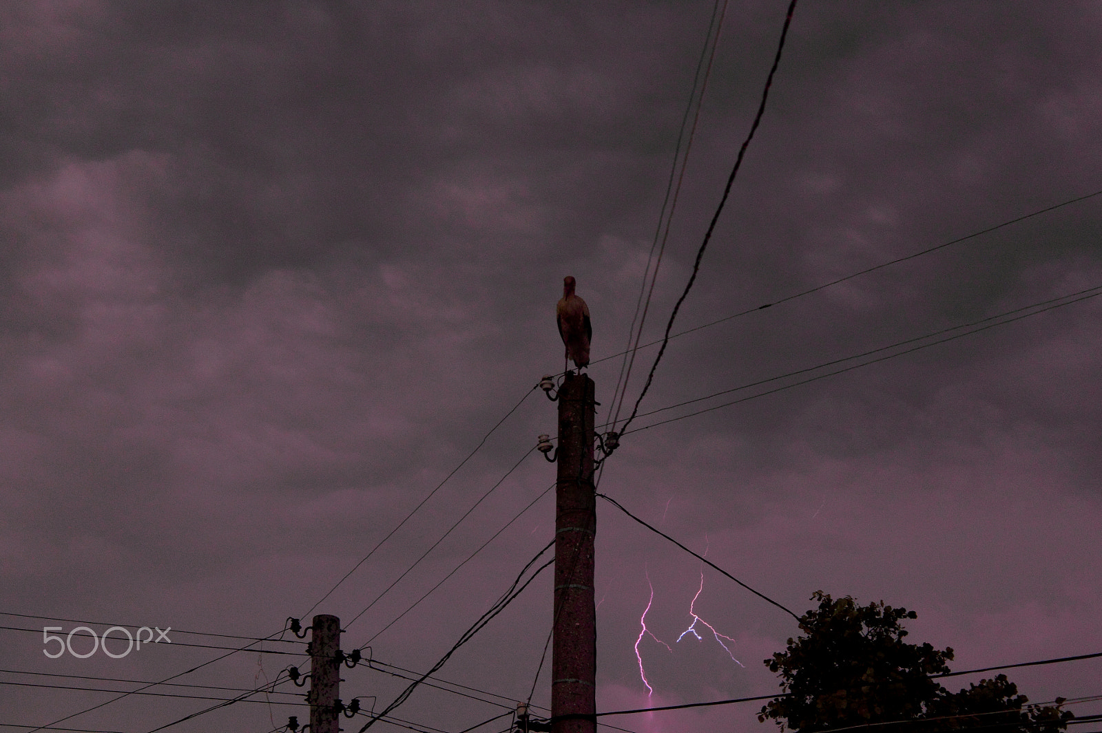 Canon EF-S 18-55mm F3.5-5.6 IS sample photo. Storm... photography
