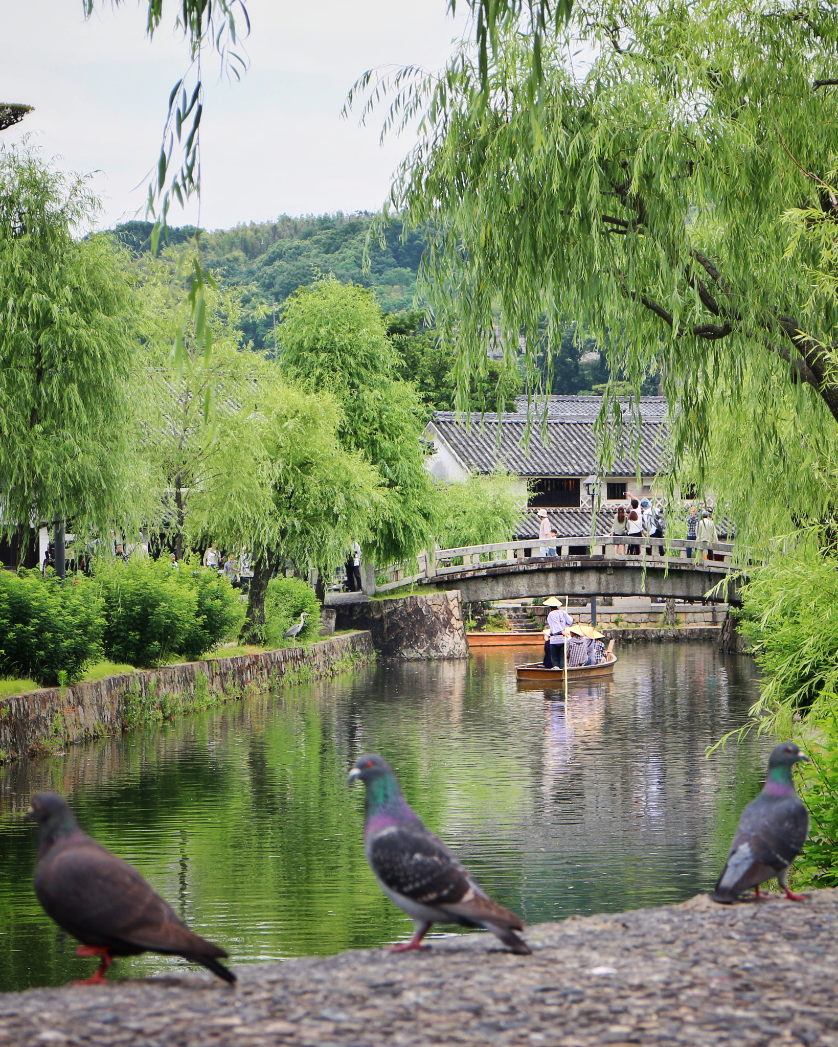 Canon EOS M2 sample photo. 美観の川 photography