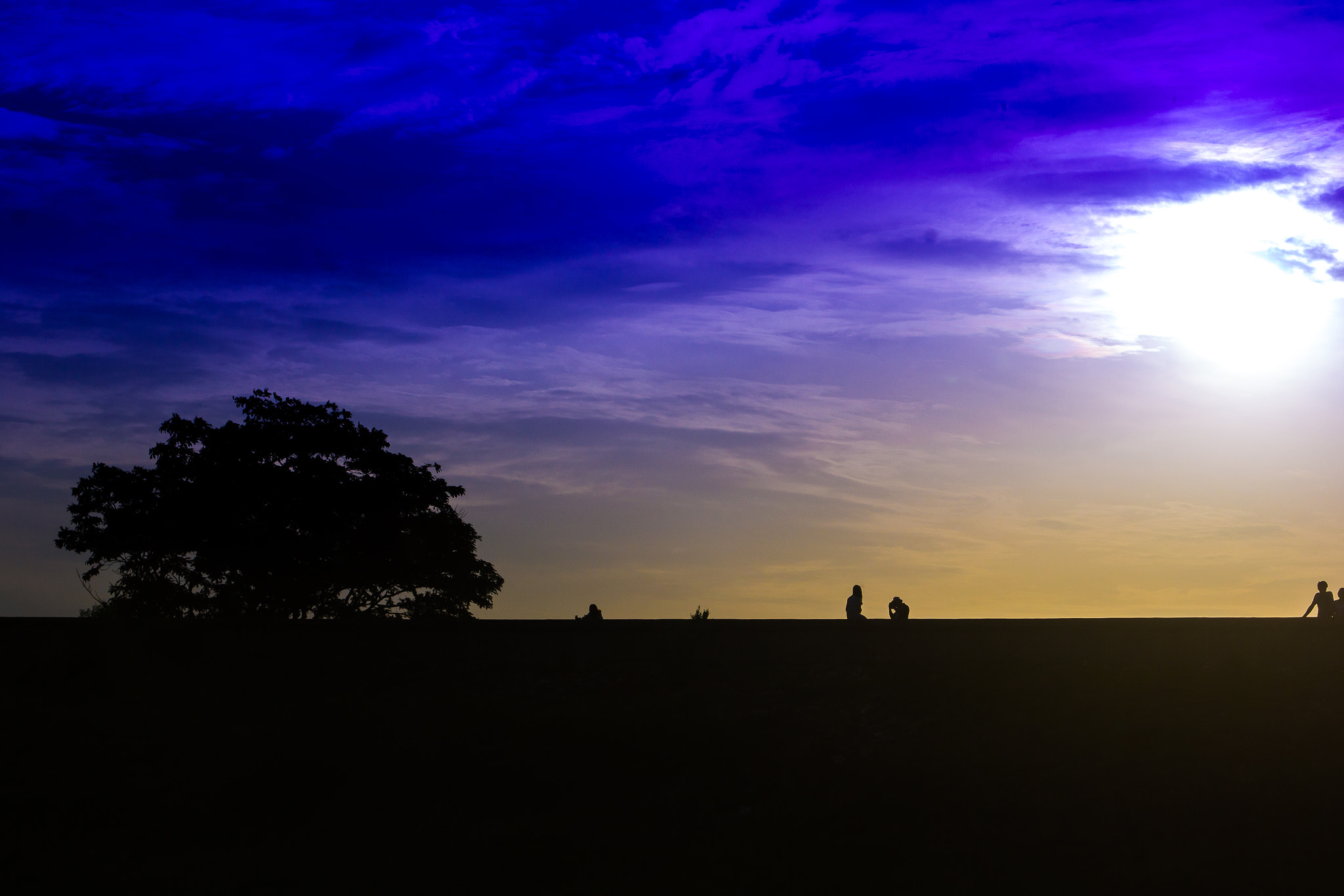 Sigma 24-60mm f/2.8 EX DG sample photo. Silhouette big tree with sunset sky background photography