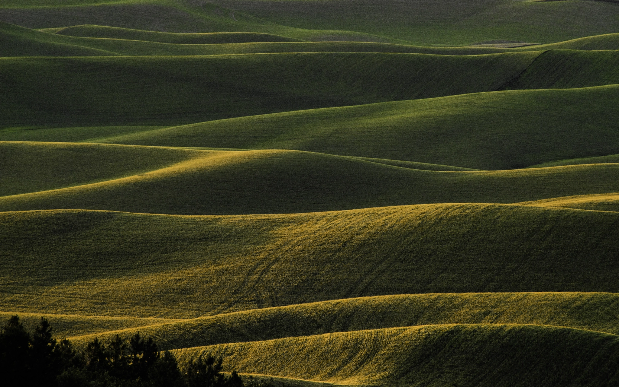 Sony 75-300mm F4.5-5.6 sample photo. The land awakens photography