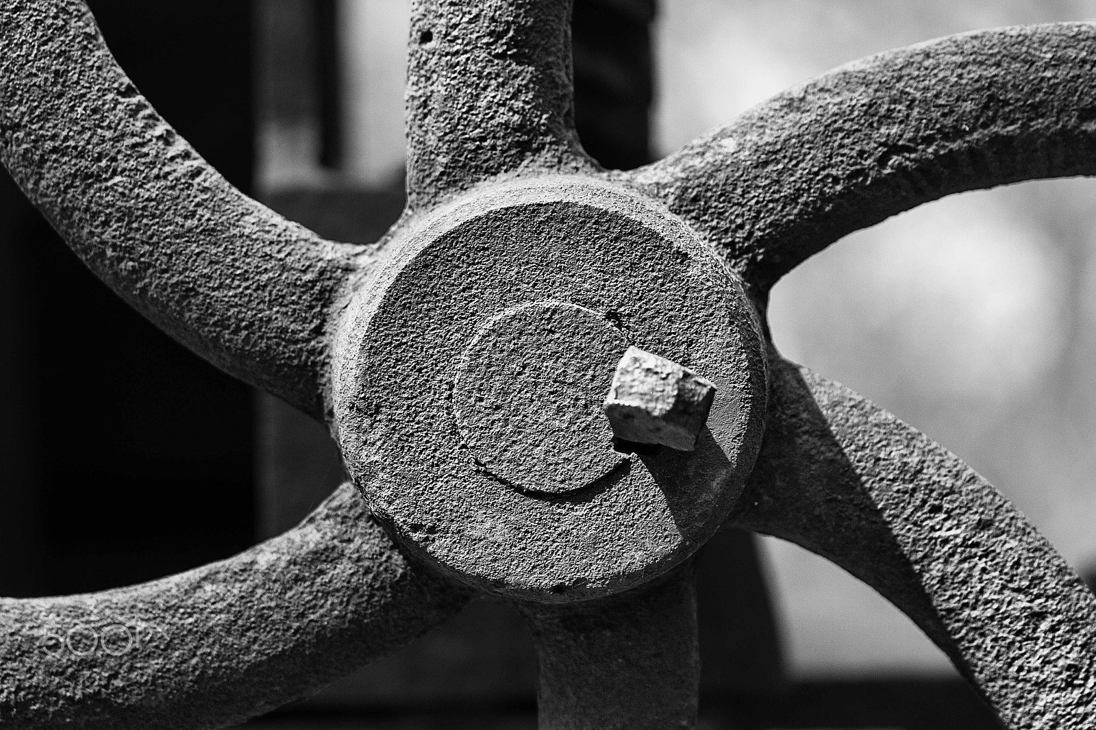 Sigma 70mm F2.8 EX DG Macro sample photo. Iron sun photography