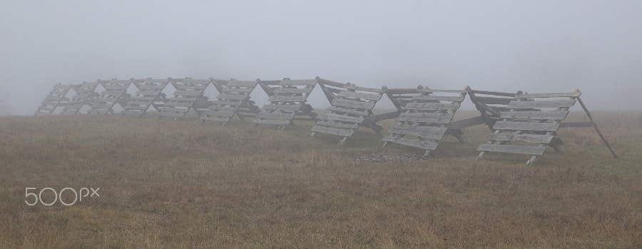 16.00 - 85.00 mm f/3.5 - 5.6 sample photo. In the fog photography