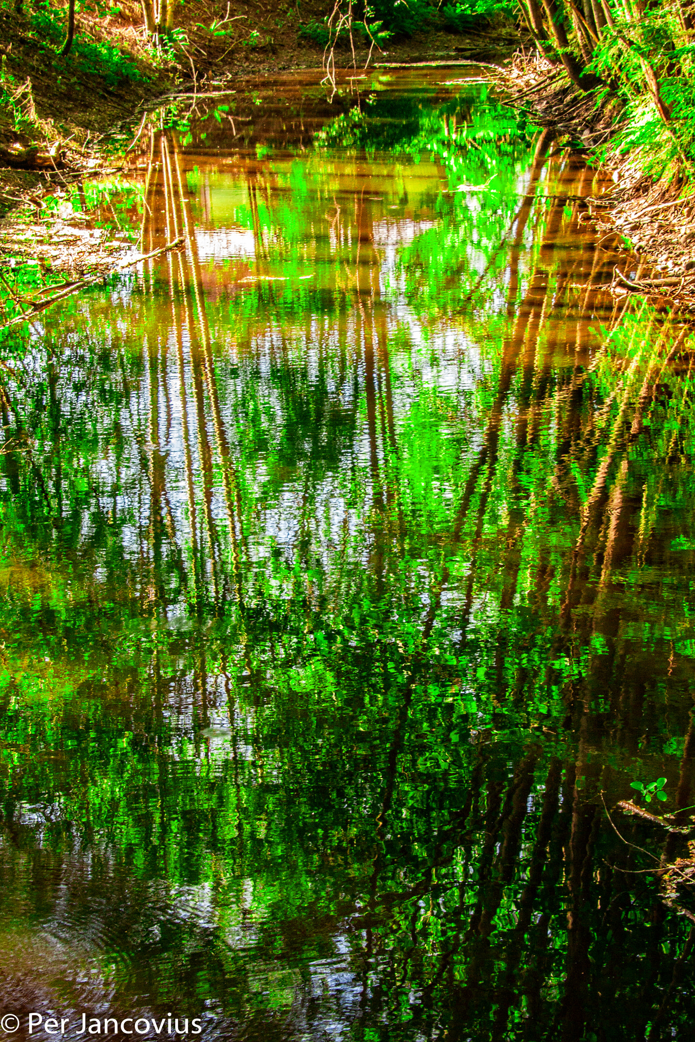 Canon EOS 40D sample photo. Reflections photography