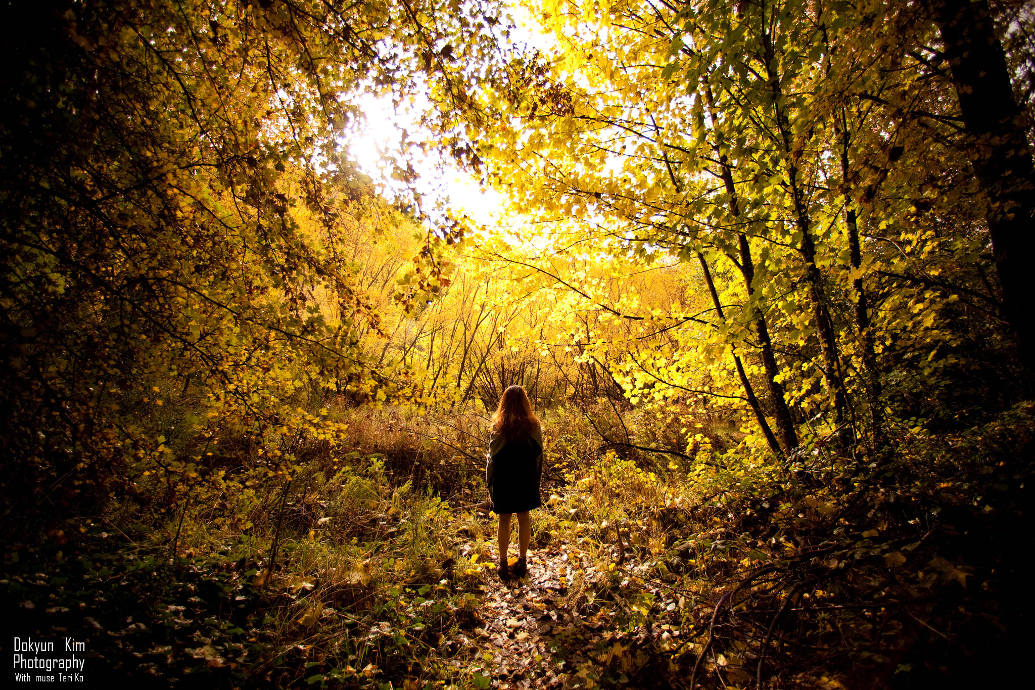 Canon EF 14mm F2.8L USM sample photo. From the autumn photography