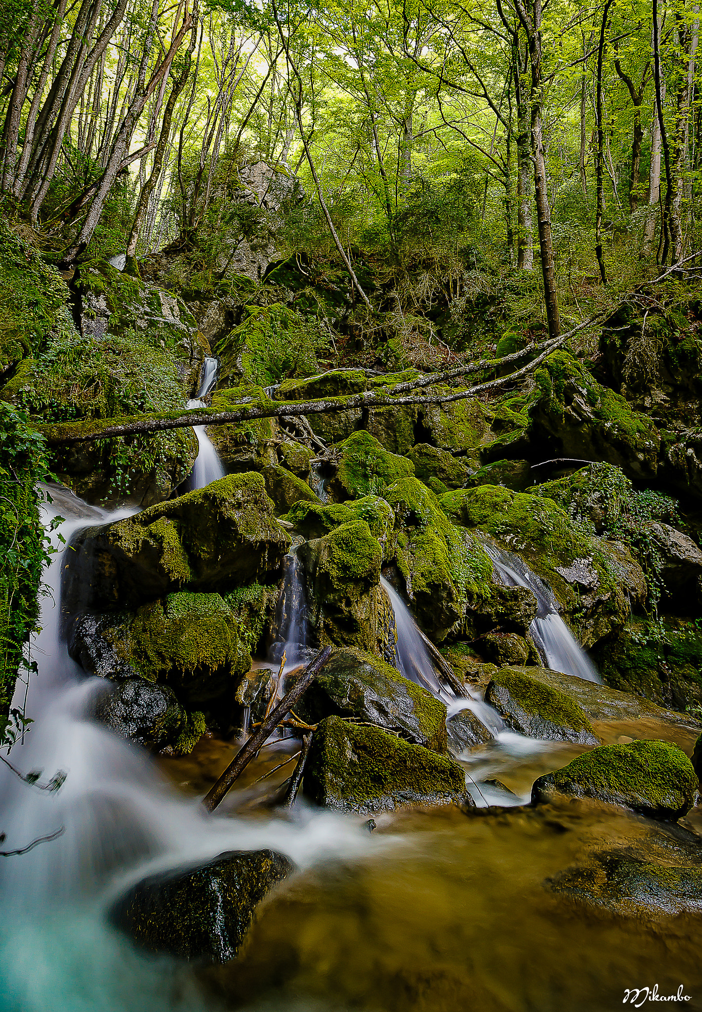 Canon EF-S 10-18mm F4.5–5.6 IS STM sample photo. L'eau du gresivaudan photography