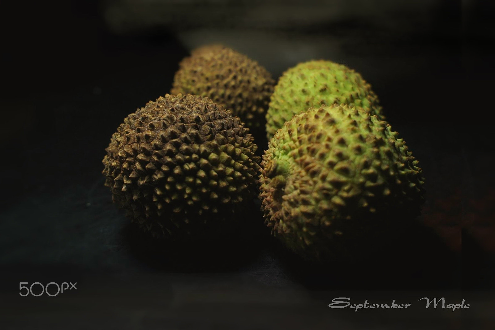 Sony NEX-5C sample photo. 荔枝 photography