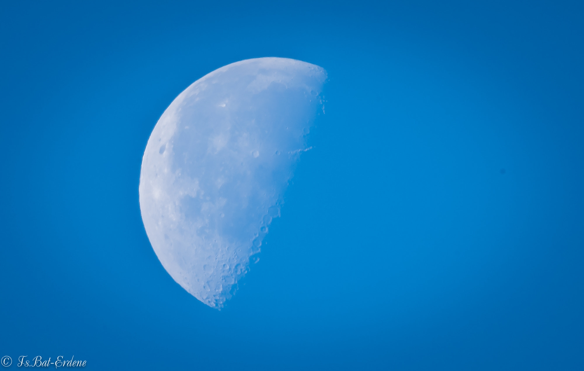Nikon AF-S Nikkor 600mm F4E FL ED VR sample photo. Tsbat photography