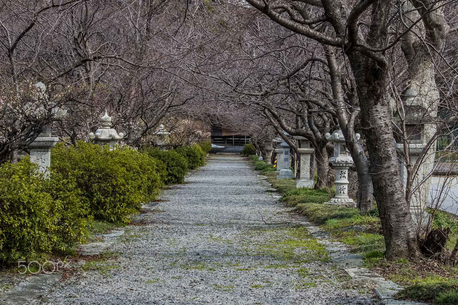 Canon EOS 700D (EOS Rebel T5i / EOS Kiss X7i) sample photo. Nature sanctuary photography