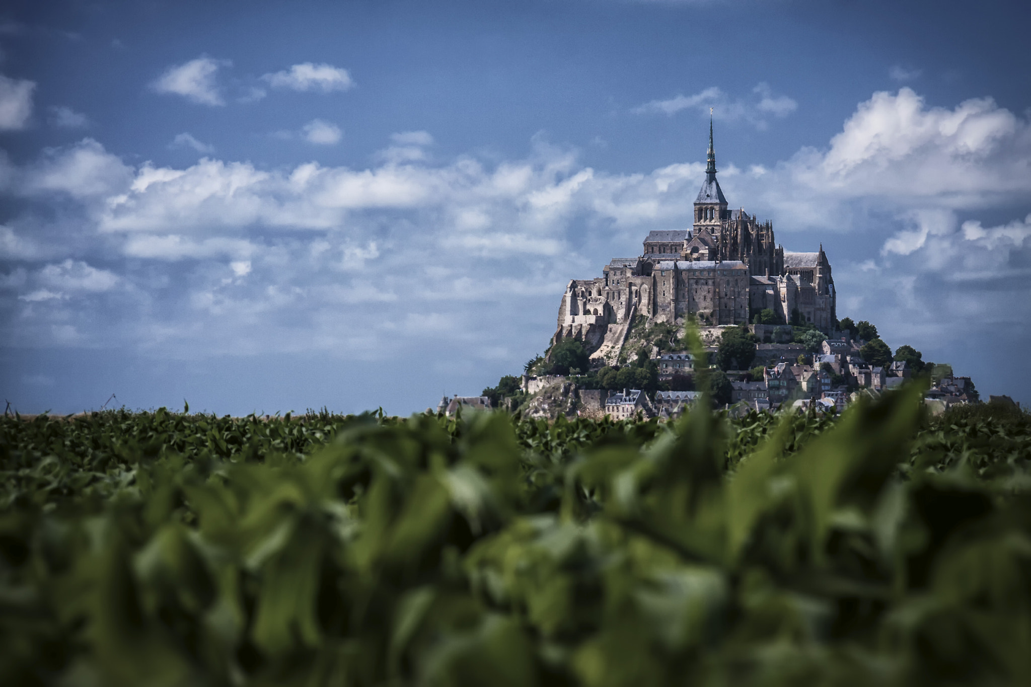 Canon EOS 40D sample photo. Mont-saint-michel, france photography