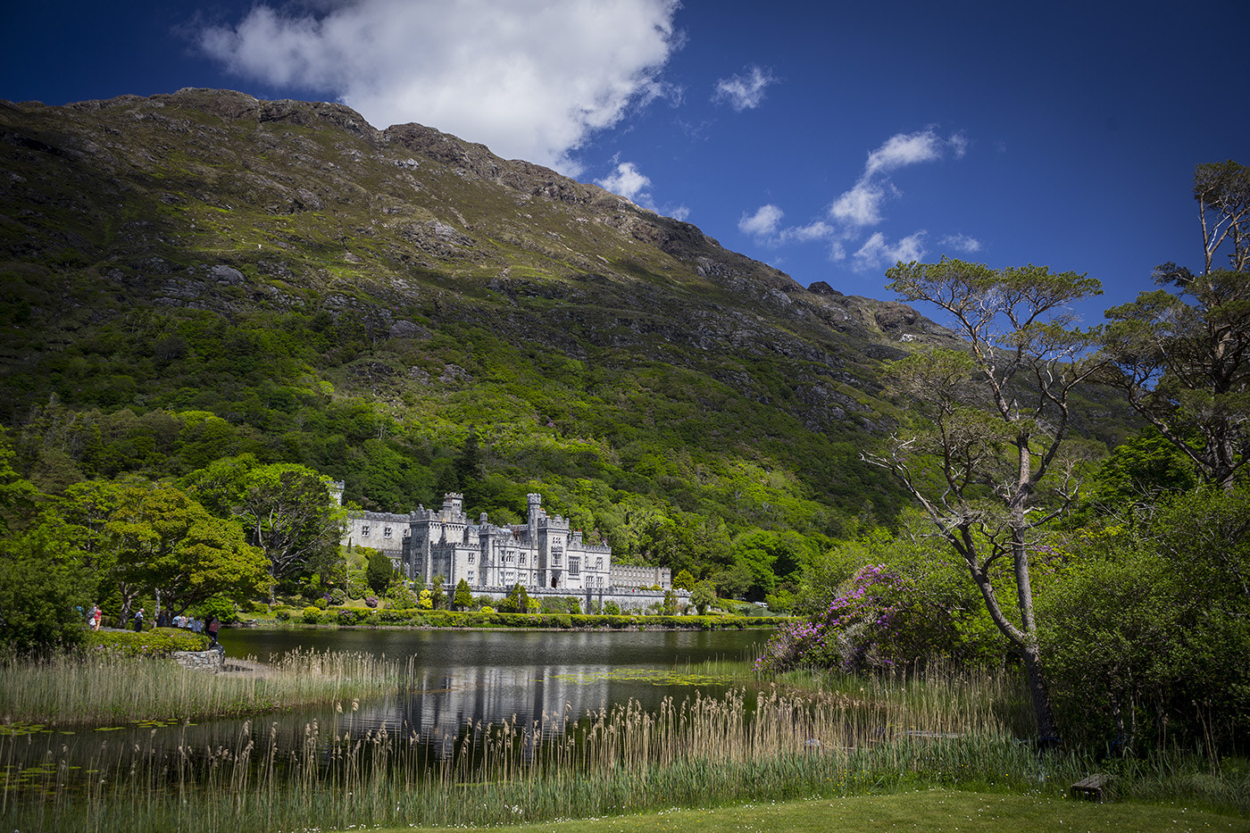 Canon EF 28-80mm f/3.5-5.6 USM IV sample photo. Kylemore abbey photography