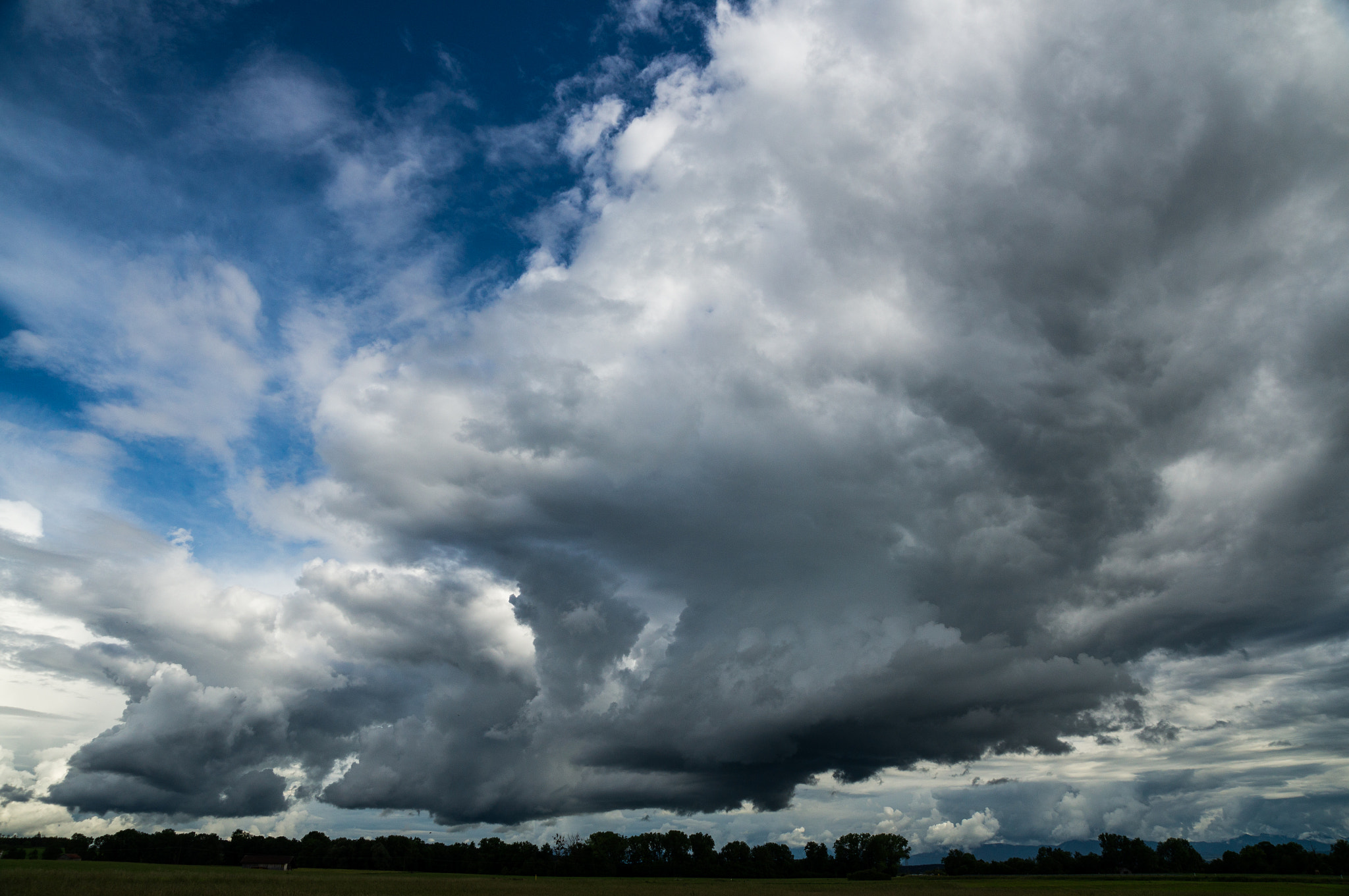 Sony SLT-A57 sample photo. Too moist - too pretty photography