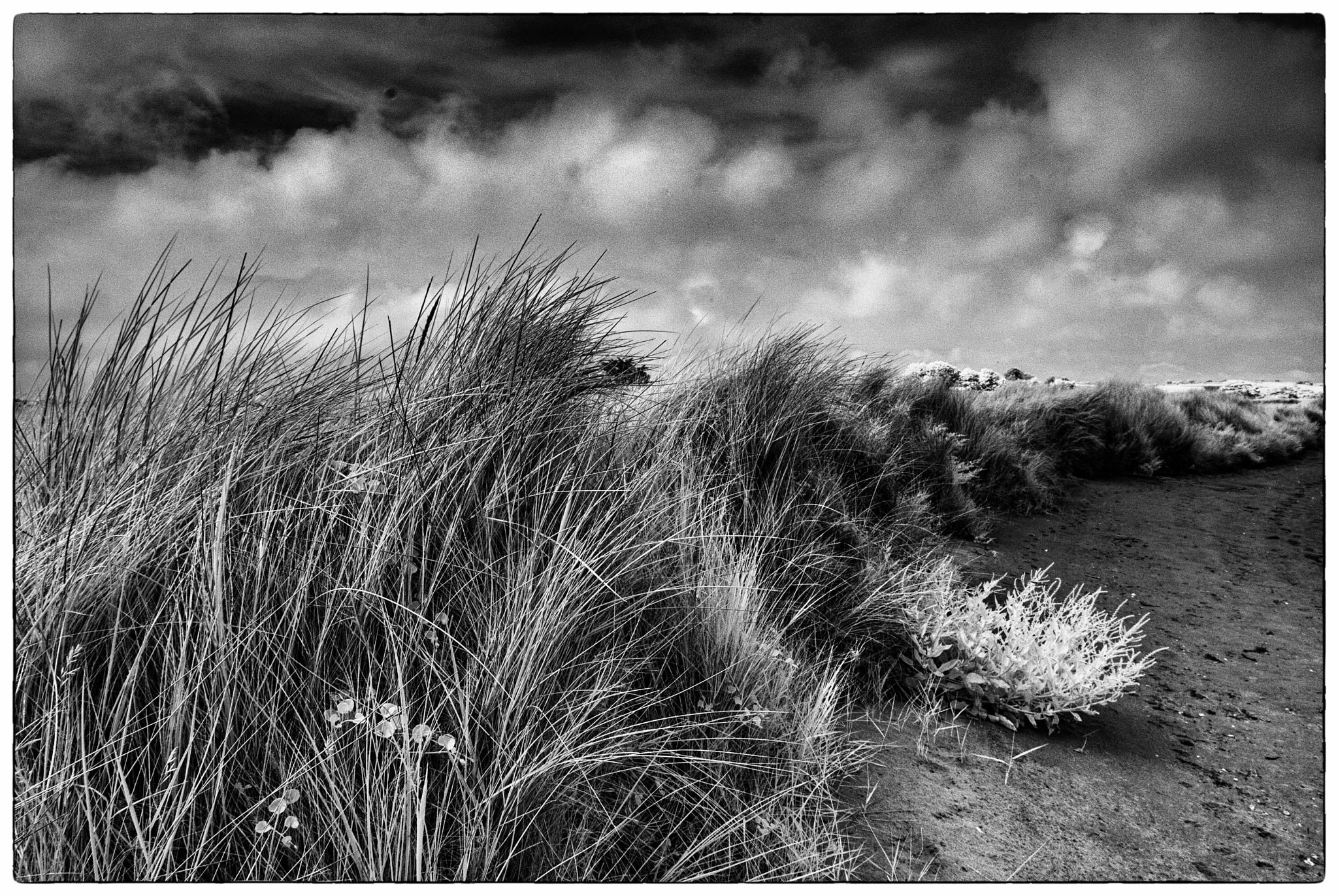 Nikon AF-S Nikkor 16-35mm F4G ED VR sample photo. Pilmore reeds photography
