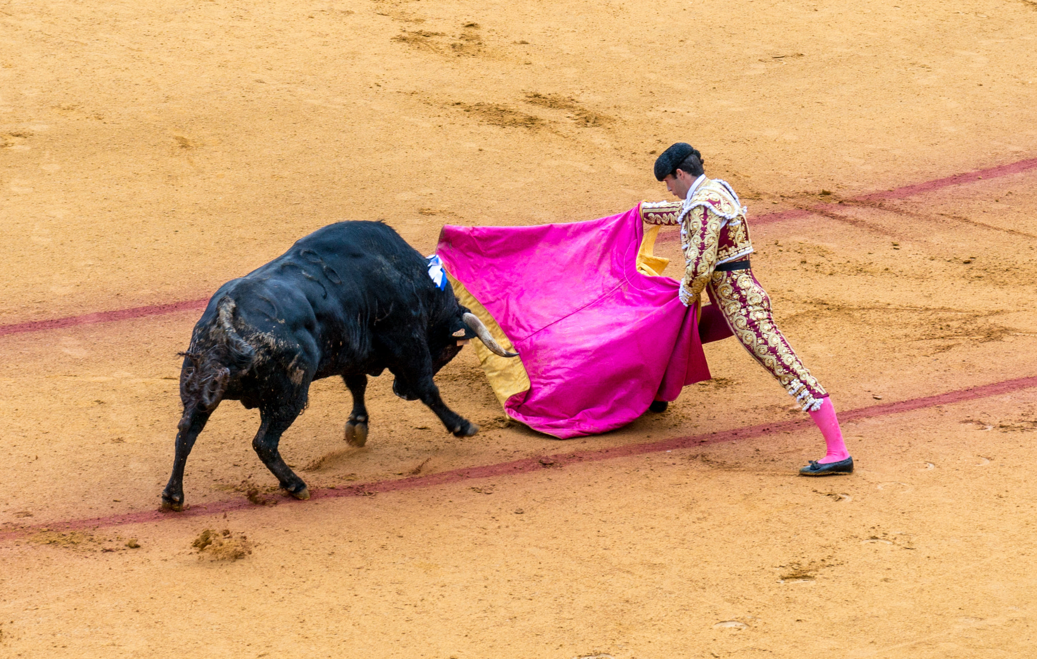 Sony Alpha NEX-5T + Sony Vario-Tessar T* E 16-70mm F4 ZA OSS sample photo. Torero and bull photography