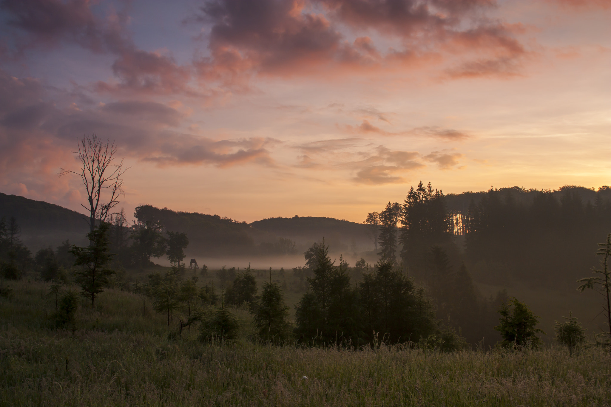 Sigma 17-70mm F2.8-4 DC Macro OS HSM sample photo. Sunrise photography
