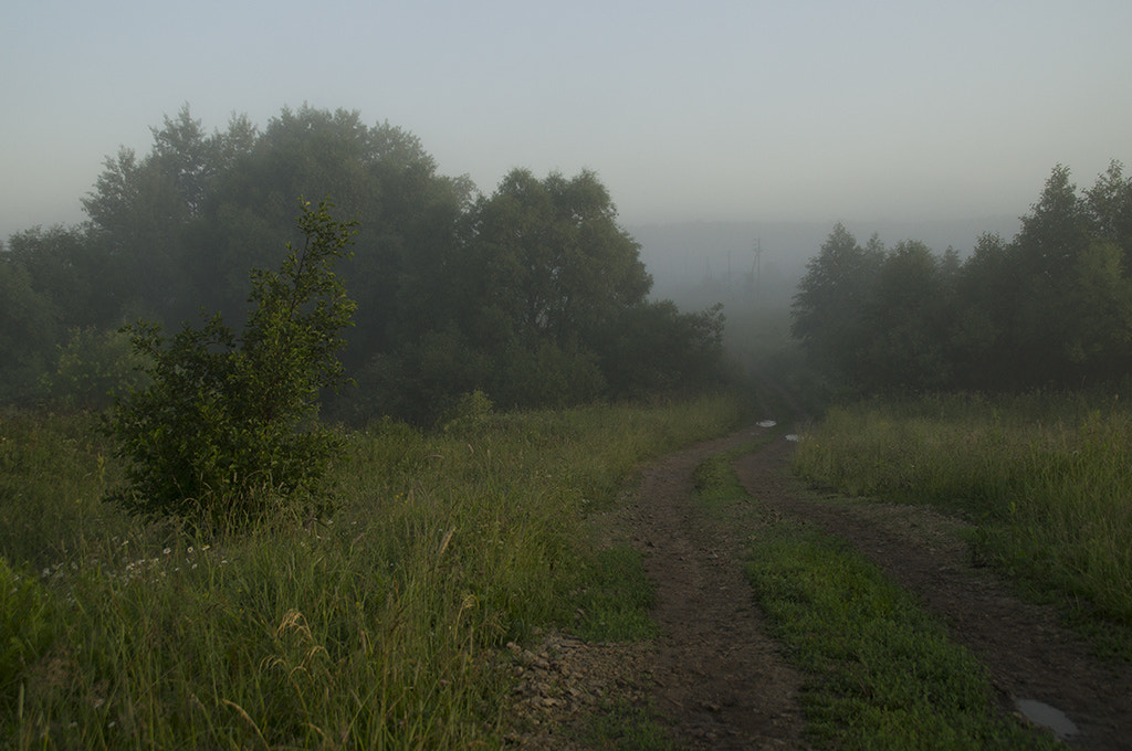 Sony SLT-A37 sample photo. Early morning. photography