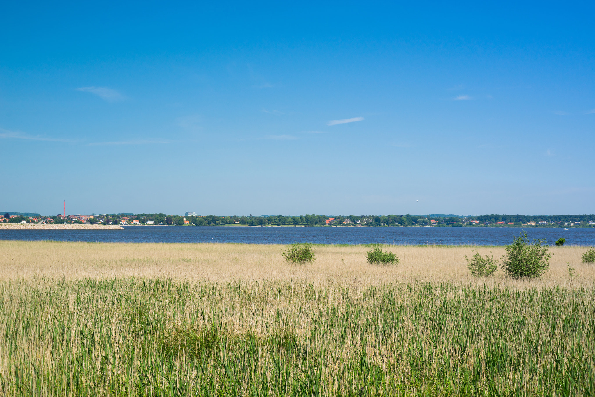 Sony a7R + Sony 50mm F1.4 sample photo. Coast landscape with grass by the water photography
