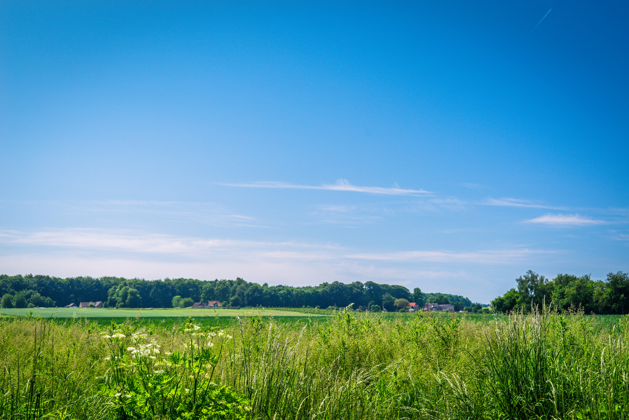Sony a7R + Sony 50mm F1.4 sample photo. Summer landscape with rural fields photography