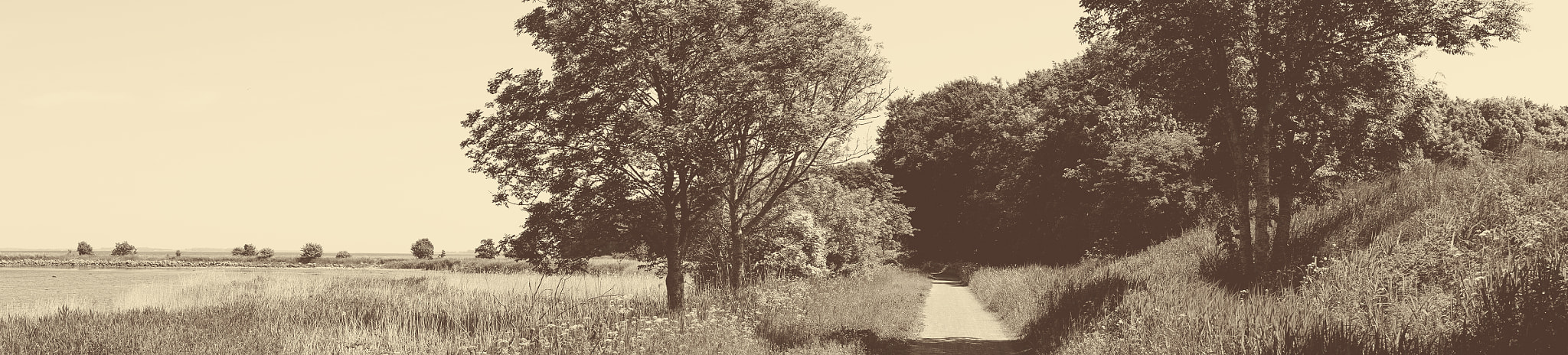 Sony a7R + Minolta AF 50mm F1.4 [New] sample photo. Old-fashioned panorama landscape with a trail photography