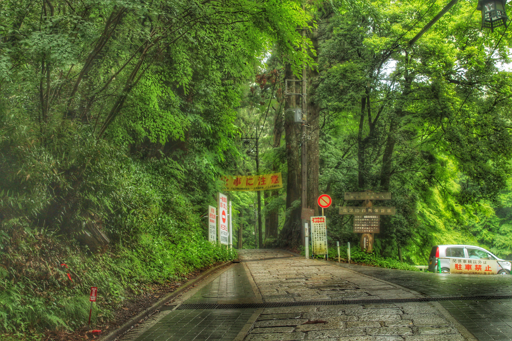 Canon EF 24-70mm F2.8L II USM sample photo. The trail to mount takao in japan photography