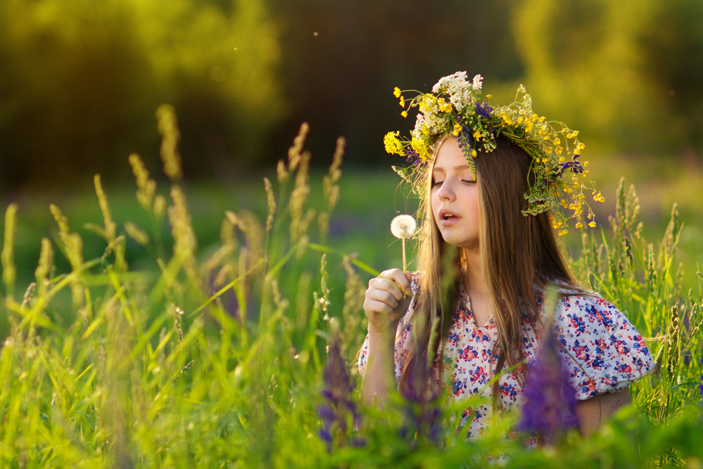 Sony Planar T* 85mm F1.4 ZA sample photo. Гадаем на одуванчике photography