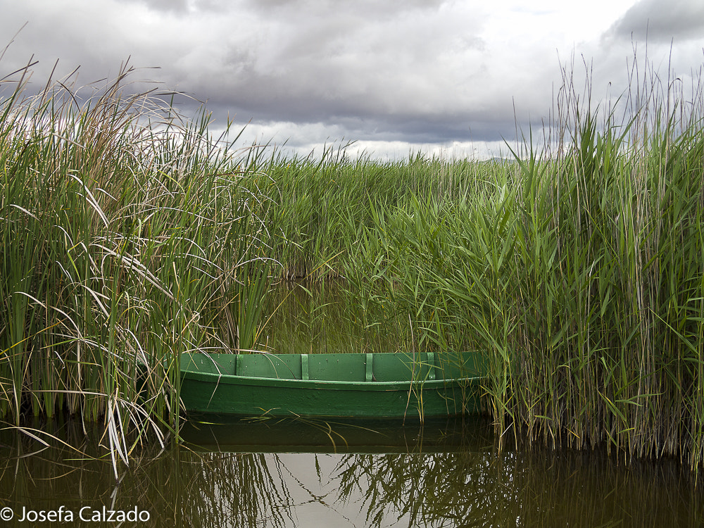 Tamron 14-150mm F3.5-5.8 Di III sample photo. Tablas de daimiel photography