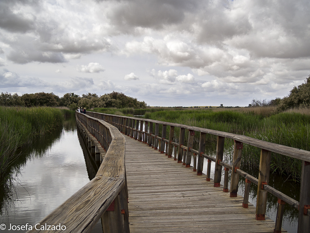 Tamron 14-150mm F3.5-5.8 Di III sample photo. Tablas de daimiel photography