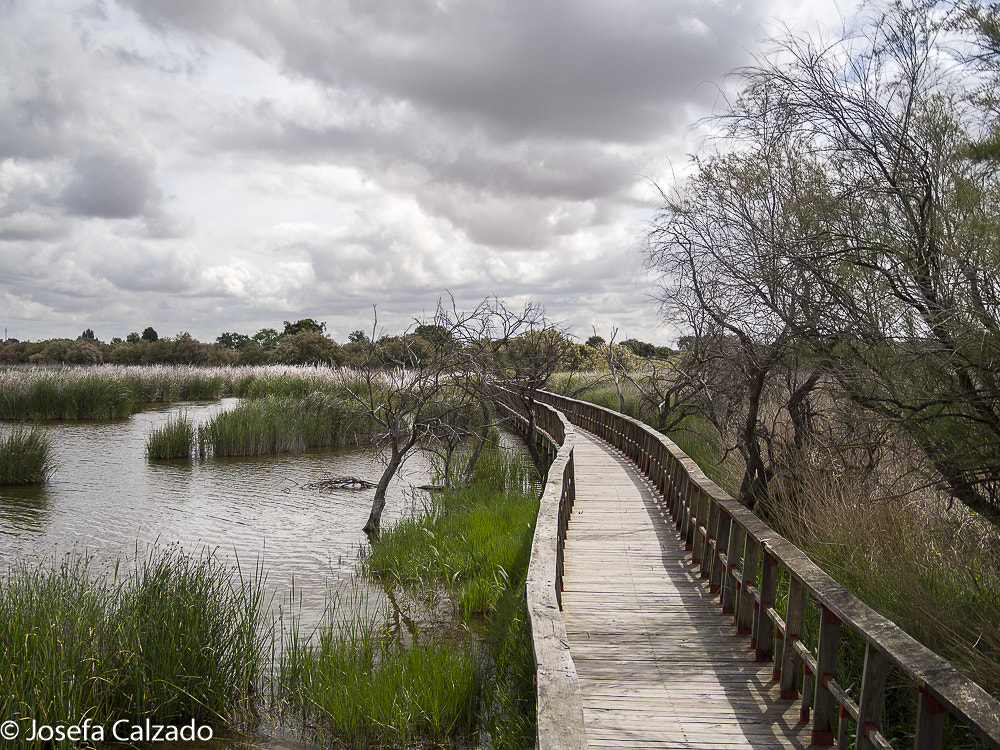 Tamron 14-150mm F3.5-5.8 Di III sample photo. Tablas de daimiel photography