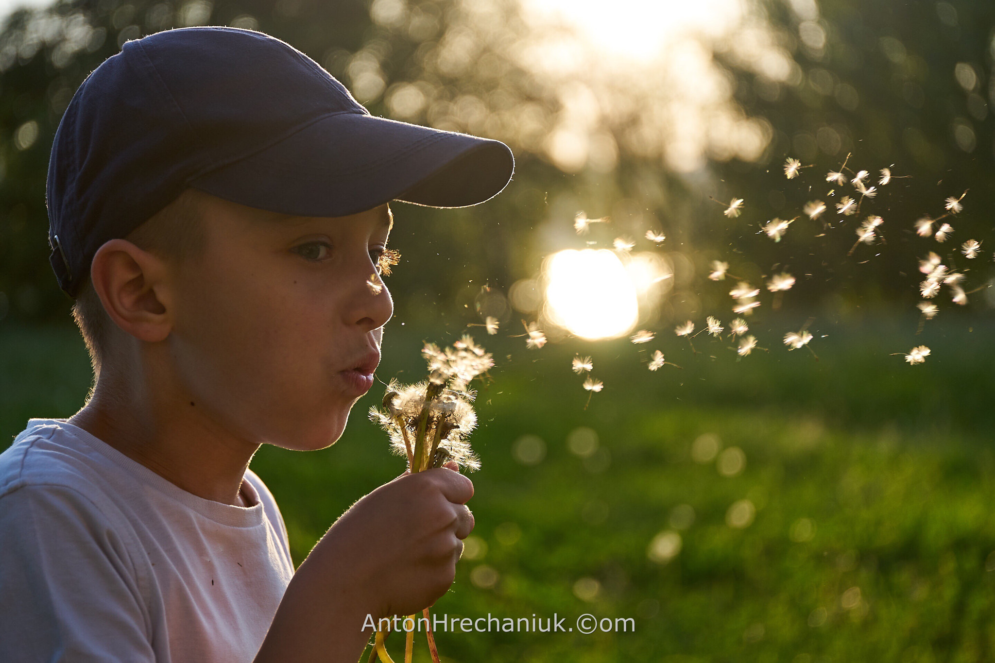 E 50mm F2.8 sample photo. The boy-dandelion photography