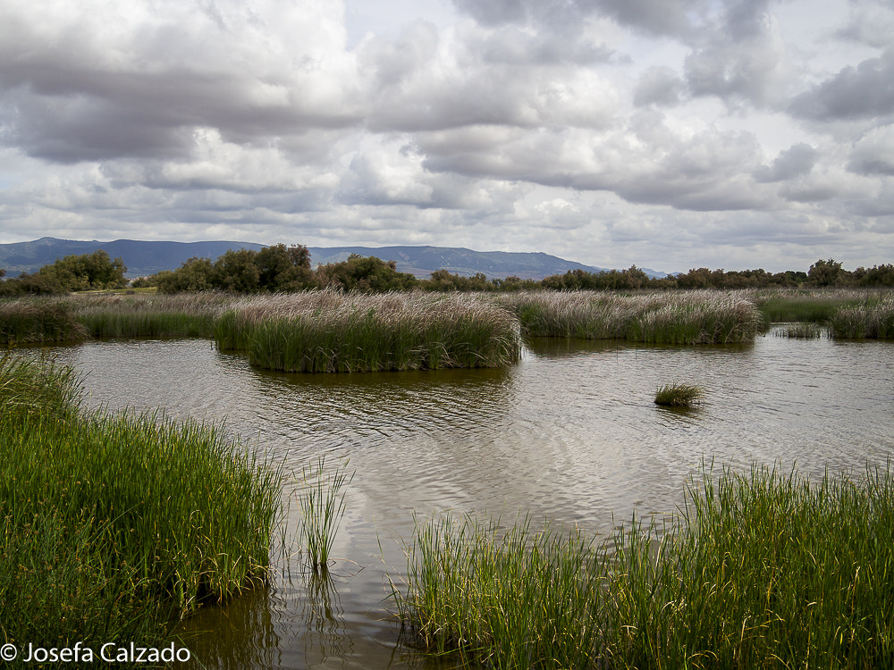 Tamron 14-150mm F3.5-5.8 Di III sample photo. Tablas de daimiel photography