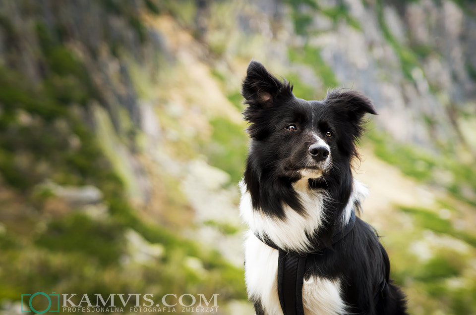 Tamron AF 28-75mm F2.8 XR Di LD Aspherical (IF) sample photo. Paco photography