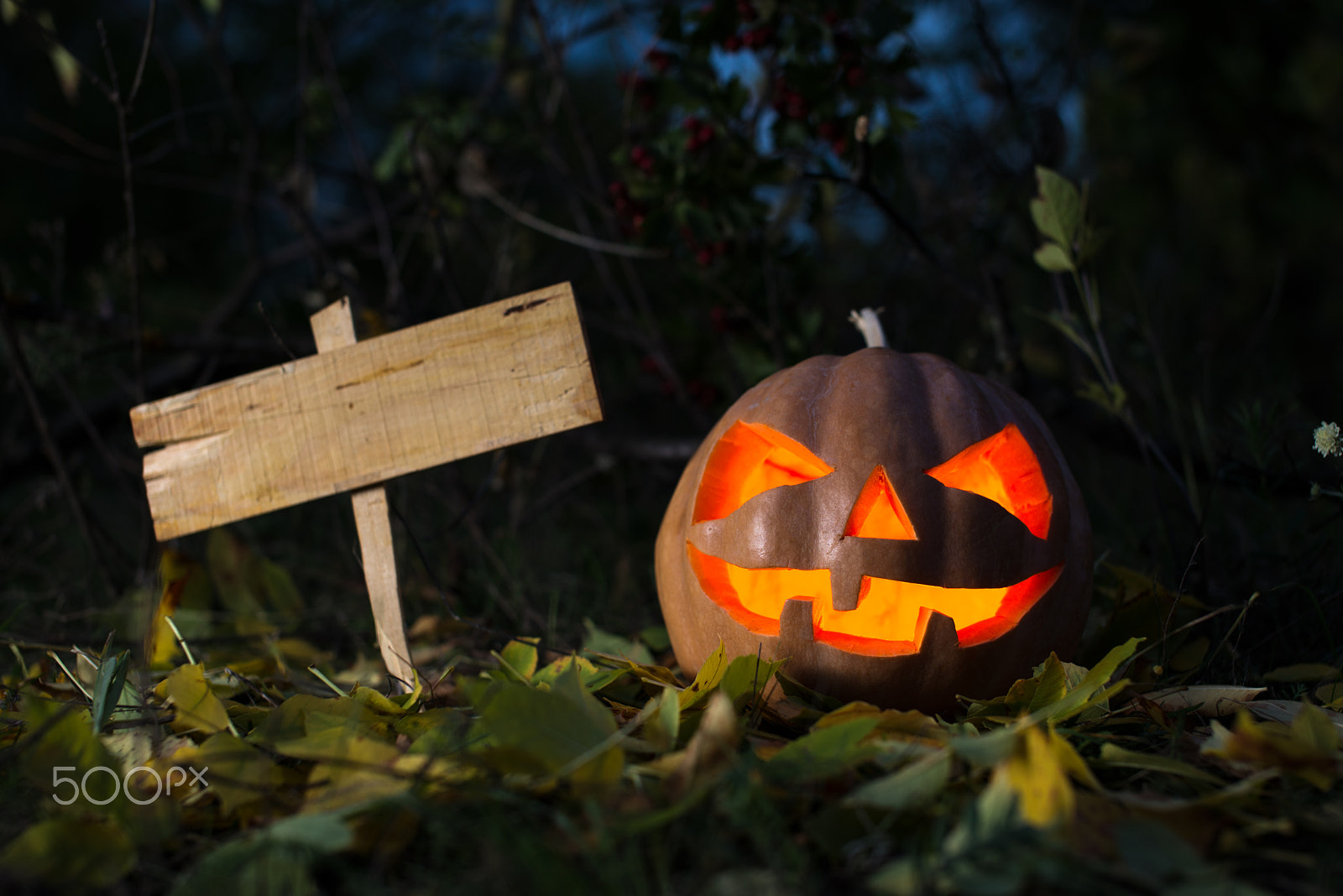 Nikon D600 sample photo. Scary halloween pumpkin and the old board for text photography