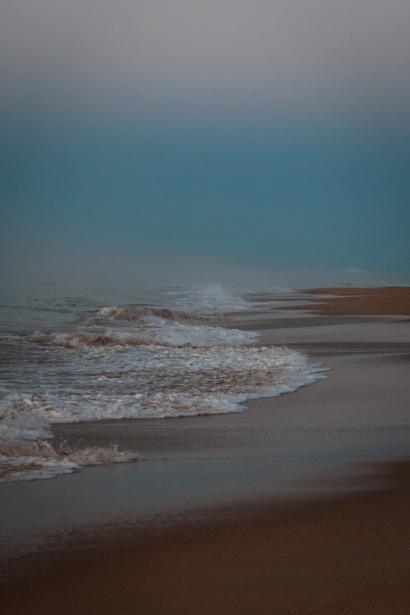 Canon EOS-1D Mark III sample photo. 90 mile beach photography