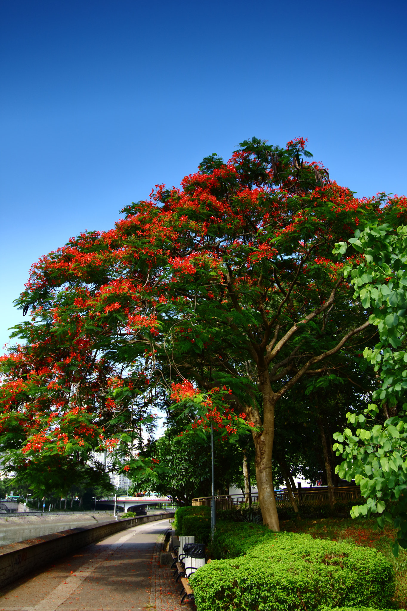 Canon EF-S 10-18mm F4.5–5.6 IS STM sample photo