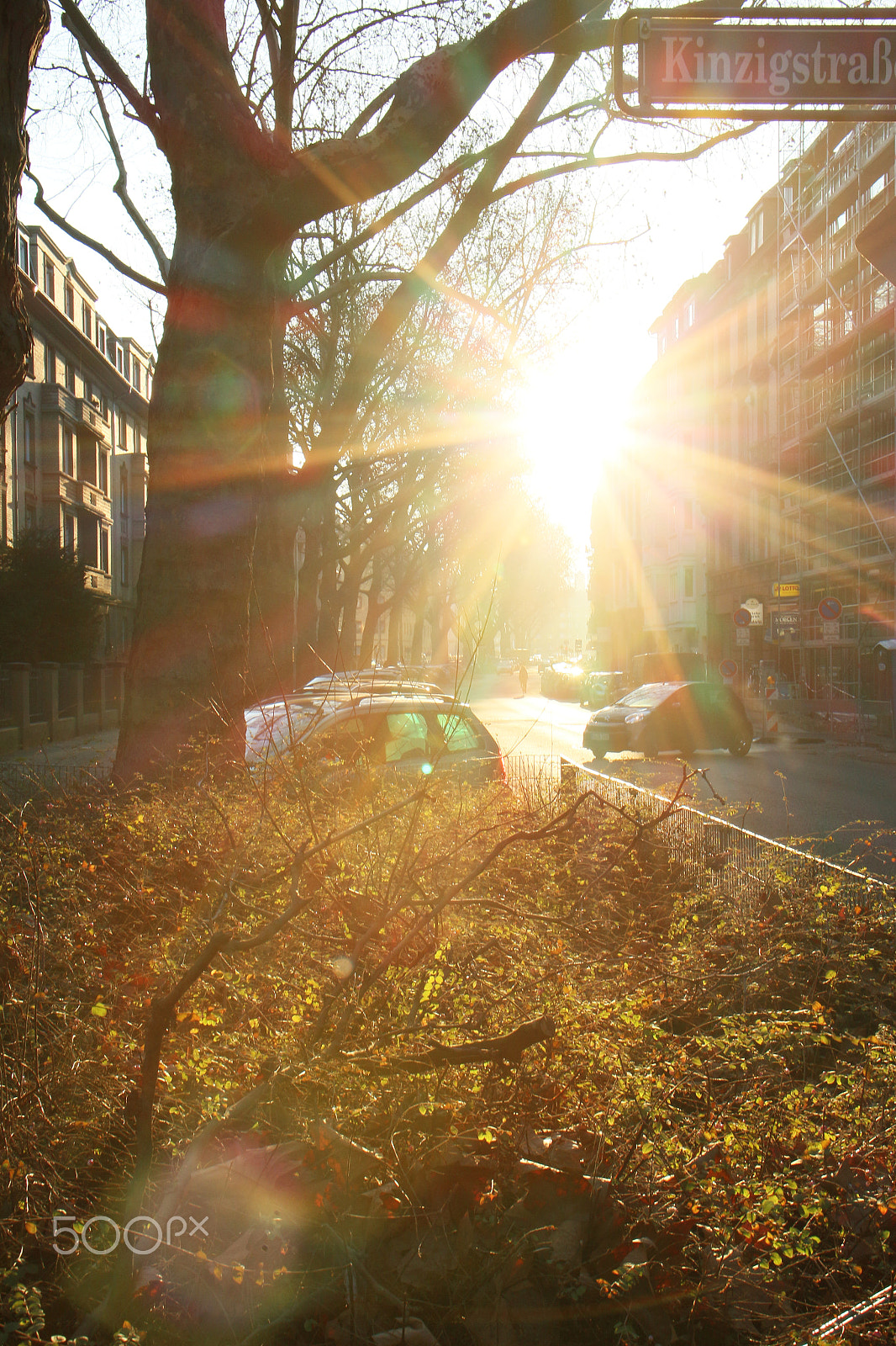 Sigma 18-50mm F2.8-4.5 DC OS HSM sample photo. Mannheim neckarstadt morgen ii photography