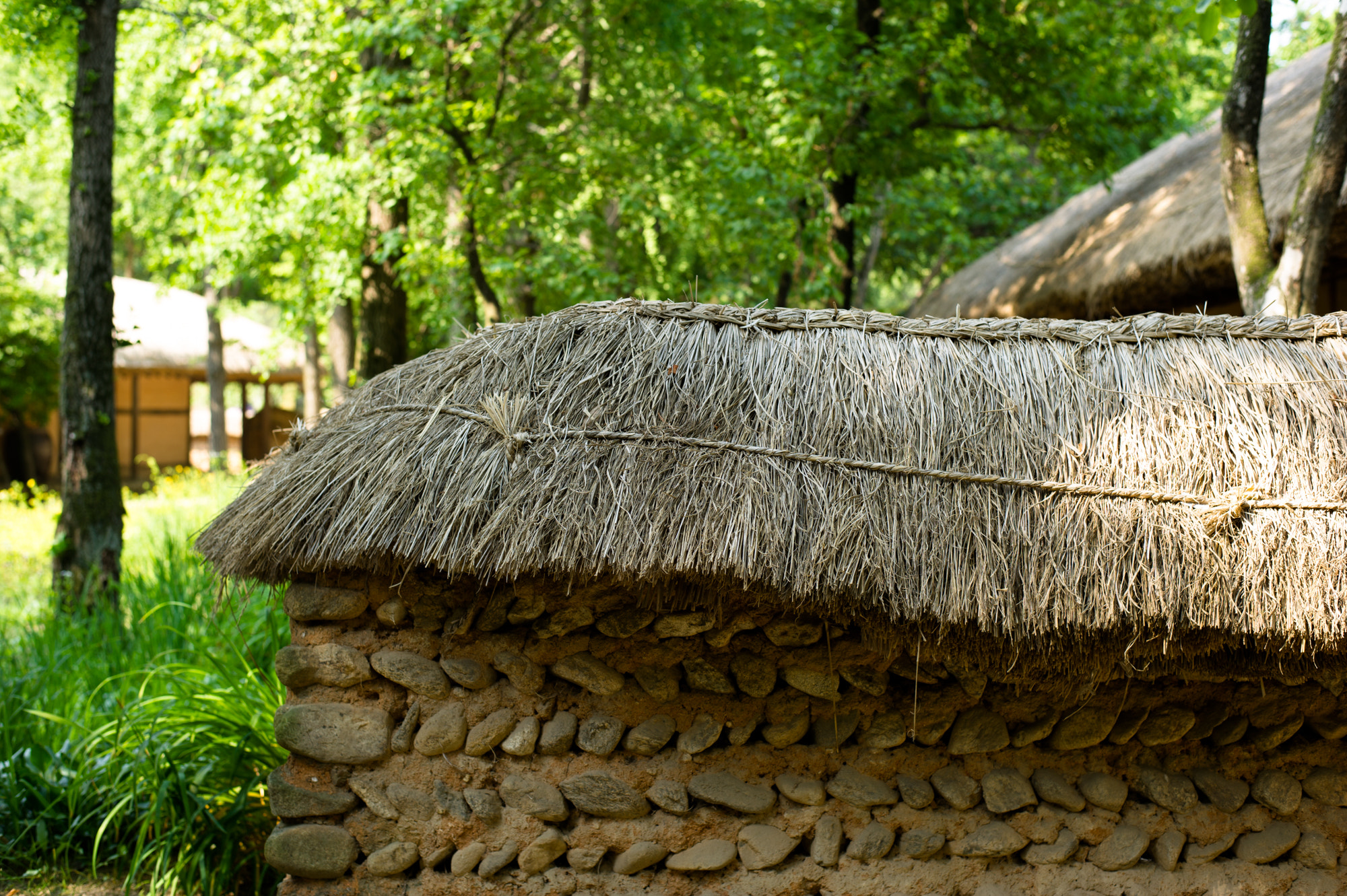Nikon D3S + Nikon AF-S Nikkor 50mm F1.8G sample photo. At the korean folk village photography