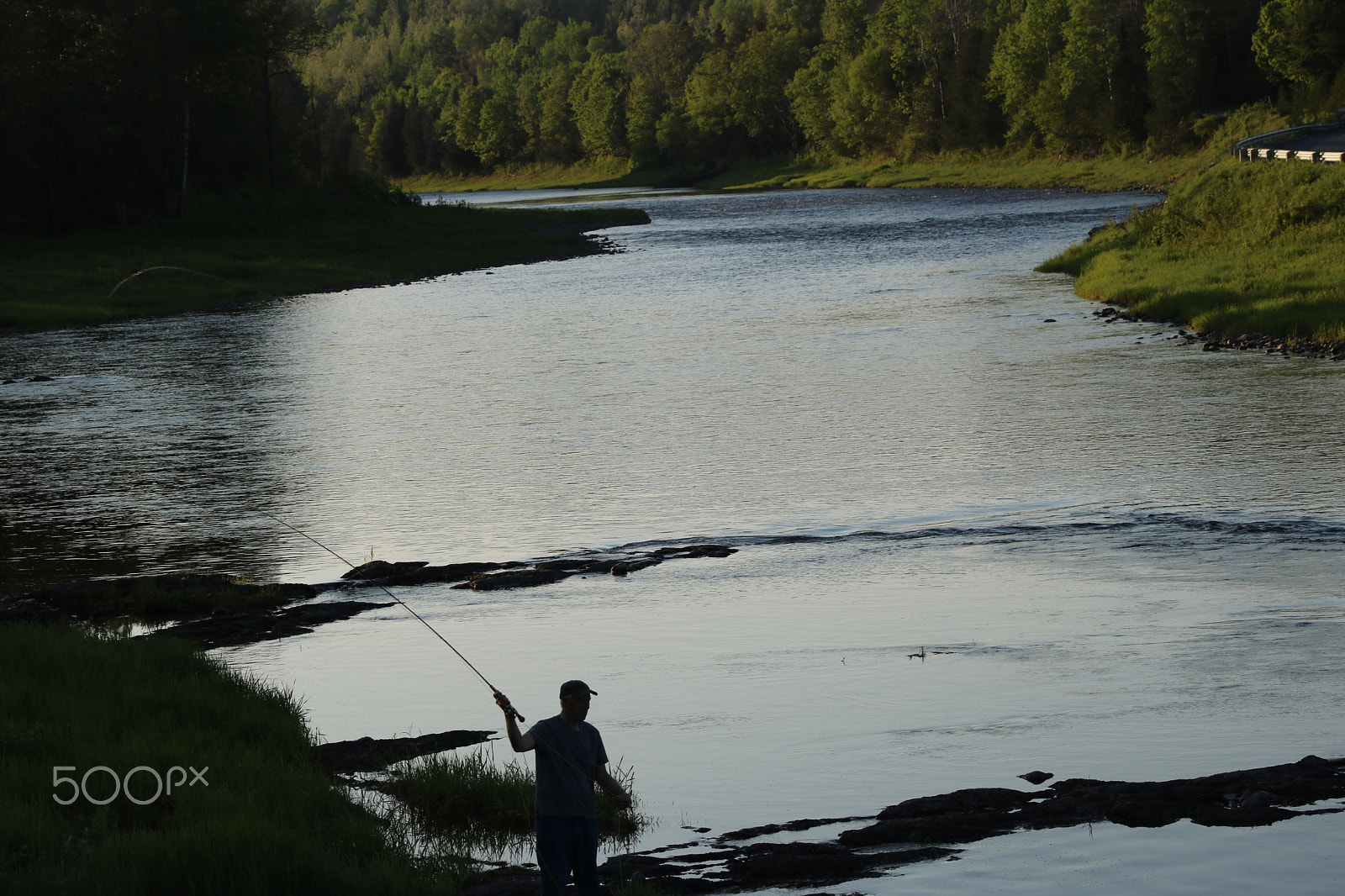 Canon EF 75-300mm f/4-5.6 USM sample photo. Love nature. photography