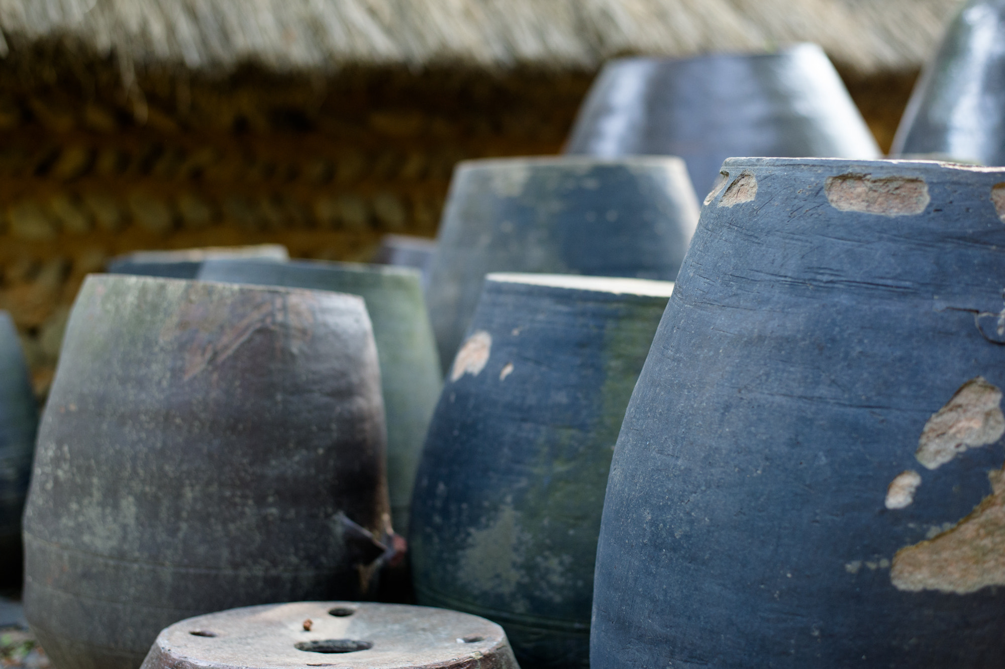 Nikon D3S + Nikon AF-S Nikkor 50mm F1.8G sample photo. At the korean folk village photography