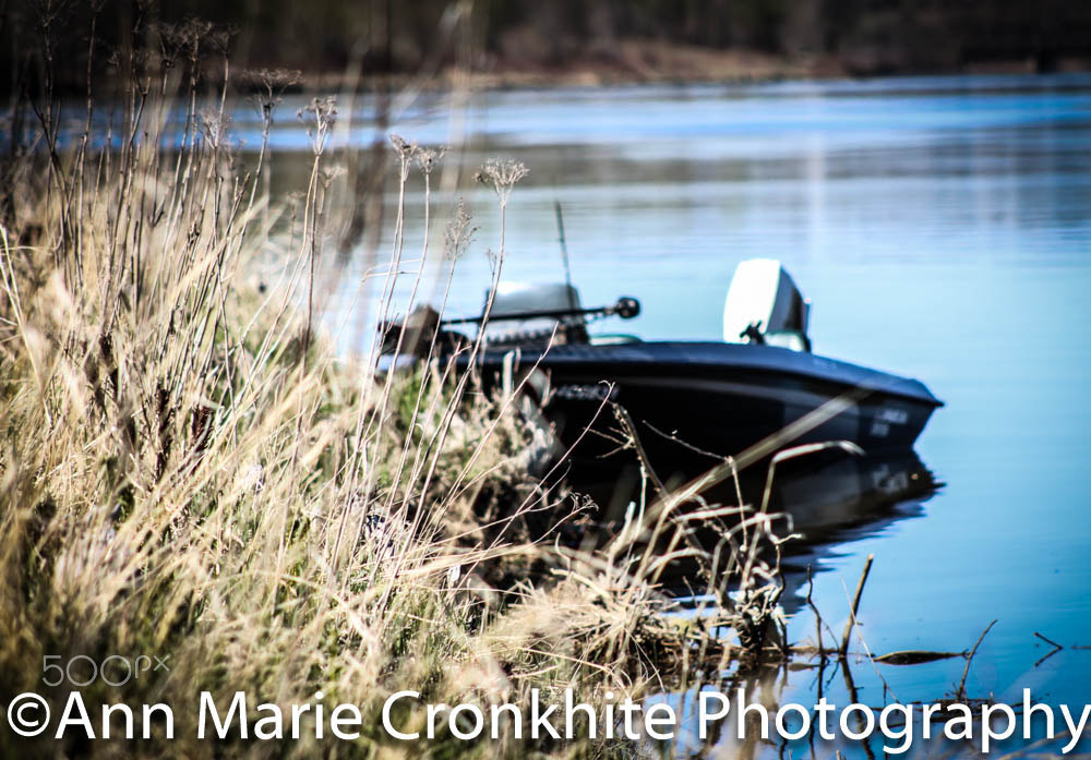 Canon EF 75-300mm f/4-5.6 USM sample photo. Love nature. photography